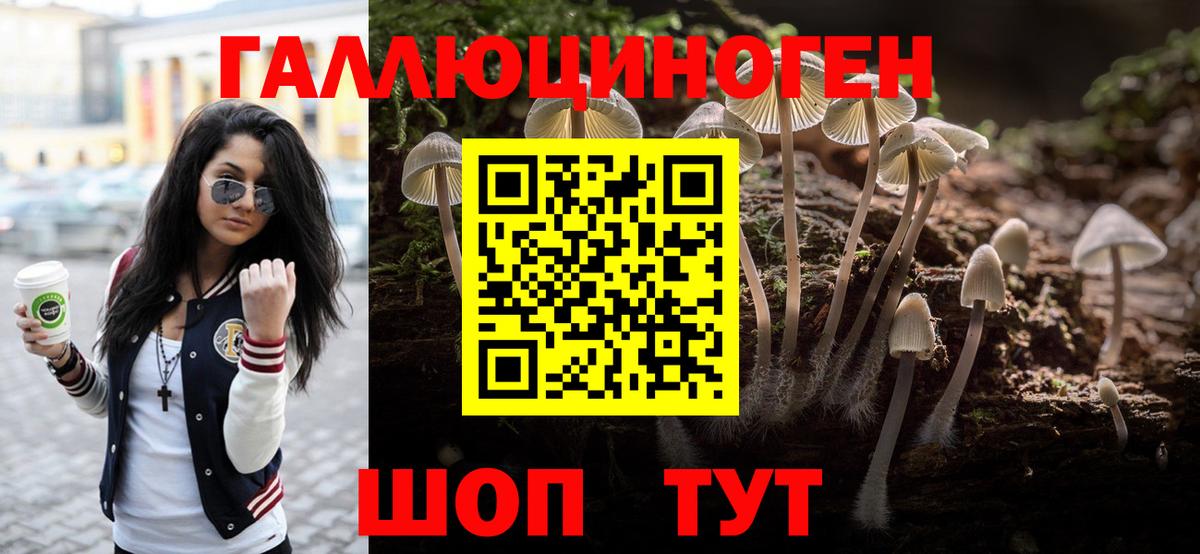 Сердобск  Псилоцибиновые грибы GOLDEN TEACHER  Вход с VPN 