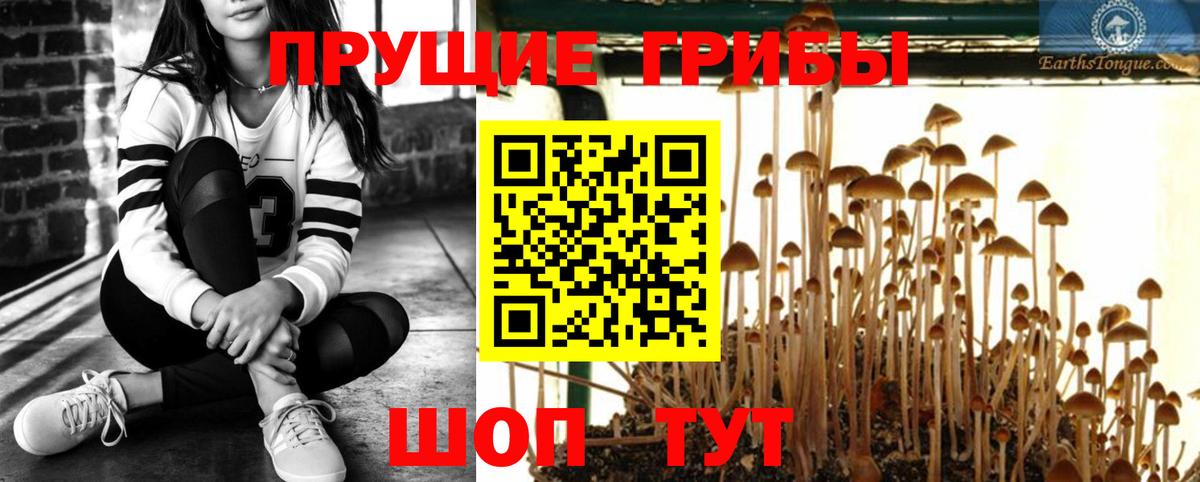Псилоцибиновые грибы Magic Shrooms Сердобск